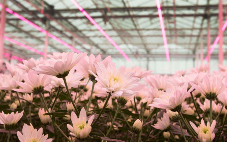 LDBA Trade mission 2022